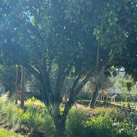 Casa Bizarra Сasa de vacaciones *