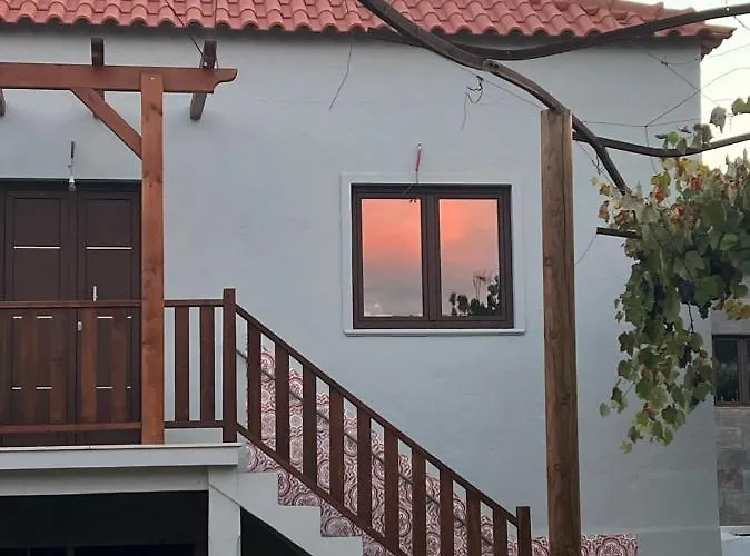 Casa Bizarra *